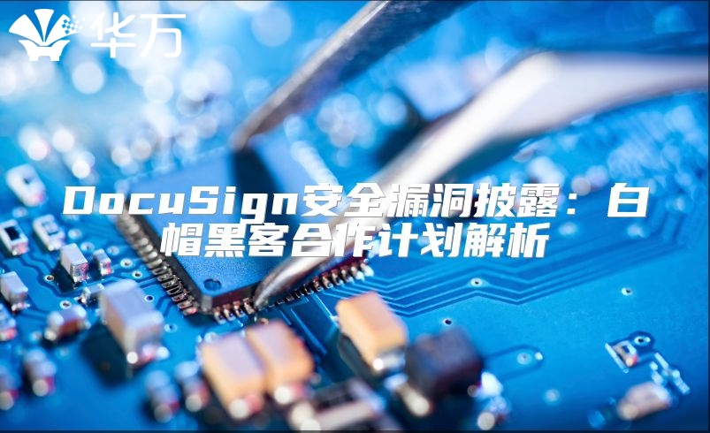 DocuSign安全漏洞披露：白帽黑客合作计划解析