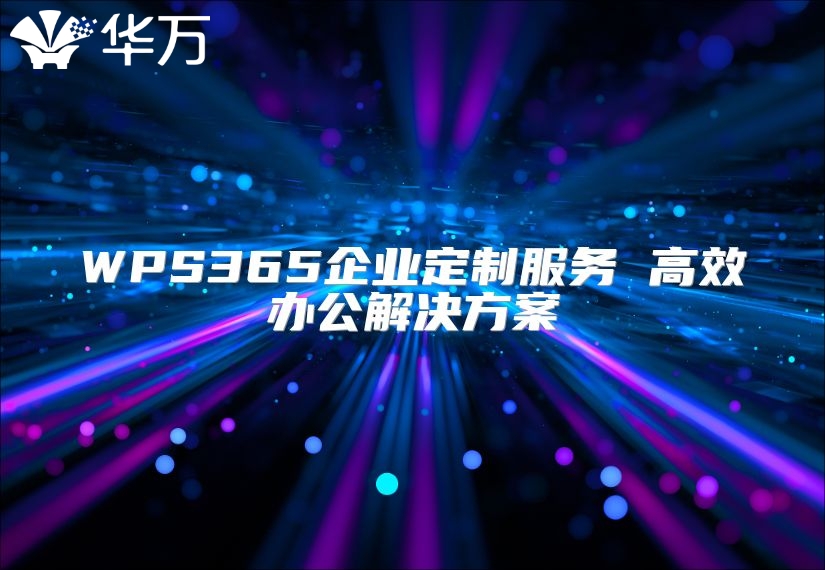 WPS365企业定制服务 高效办公解决方案