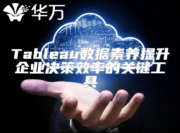 Tableau数据素养提升企业决策效率的关键工具
