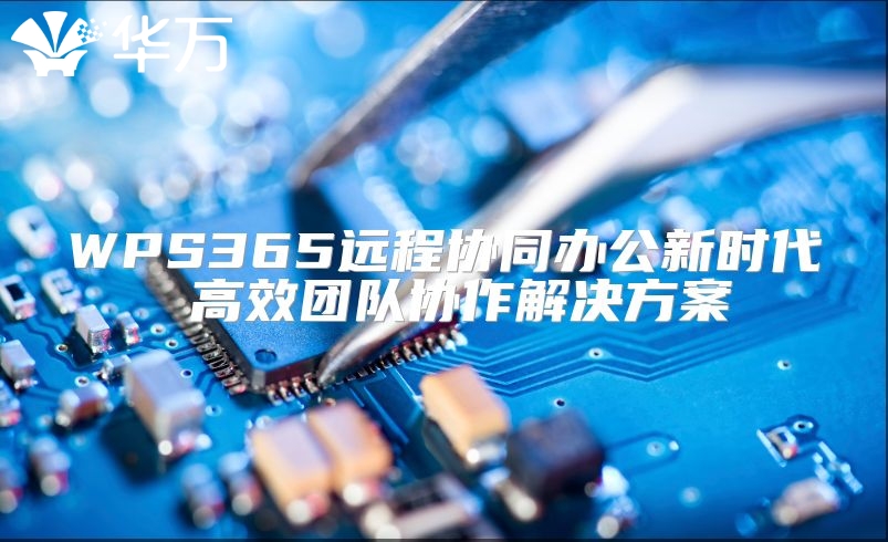 WPS365远程协同办公新时代 高效团队协作解决方案