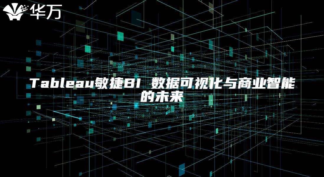 Tableau敏捷BI 数据可视化与商业智能的未来