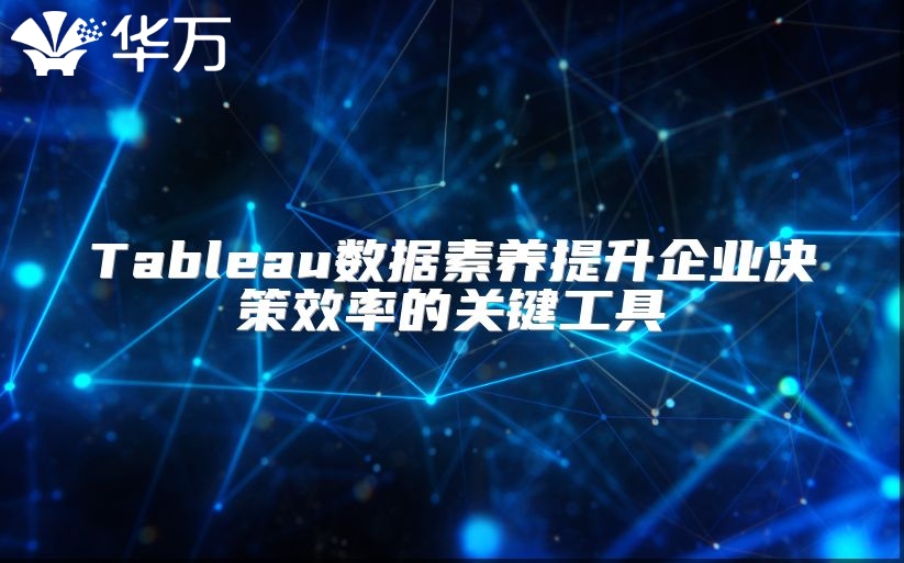 Tableau数据素养提升企业决策效率的关键工具