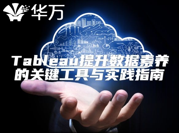 Tableau提升数据素养的关键工具与实践指南