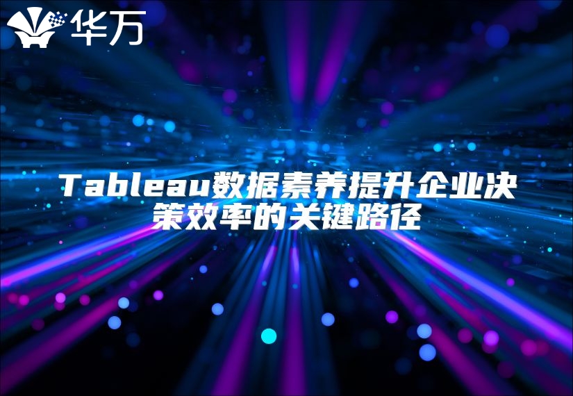 Tableau数据素养提升企业决策效率的关键路径