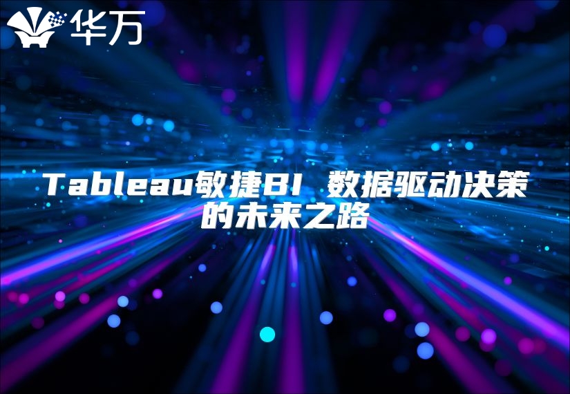 Tableau敏捷BI 数据驱动决策的未来之路