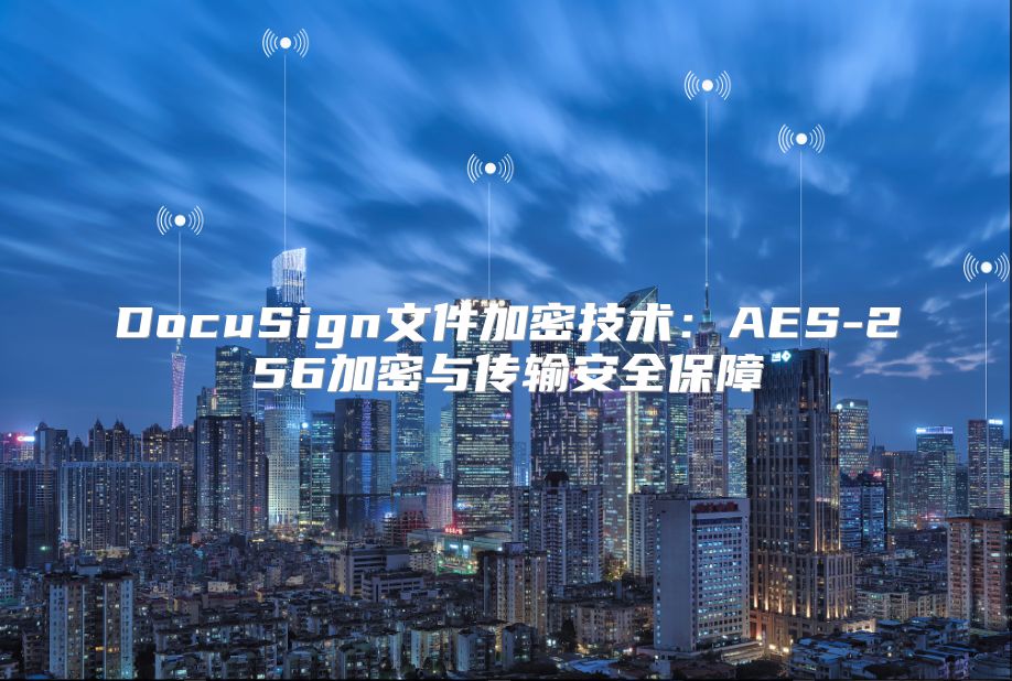 DocuSign文件加密技术：AES-256加密与传输安全保障