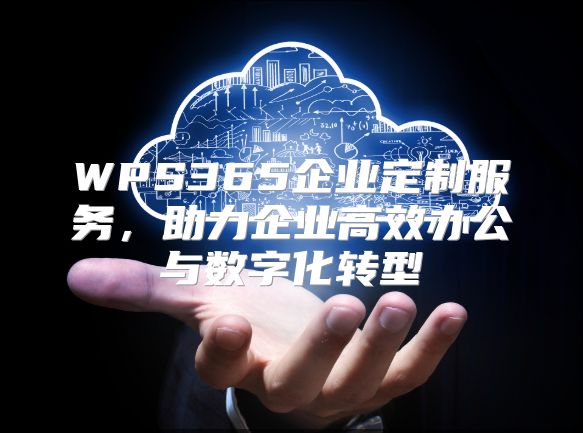 WPS365企业定制服务，助力企业高效办公与数字化转型