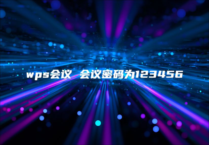 wps会议 会议密码为123456