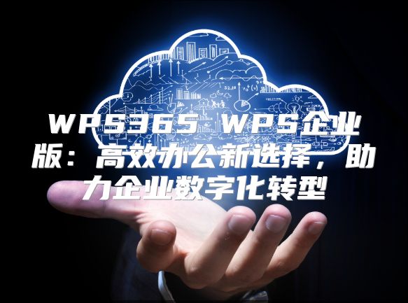 WPS365 WPS企业版：高效办公新选择，助力企业数字化转型