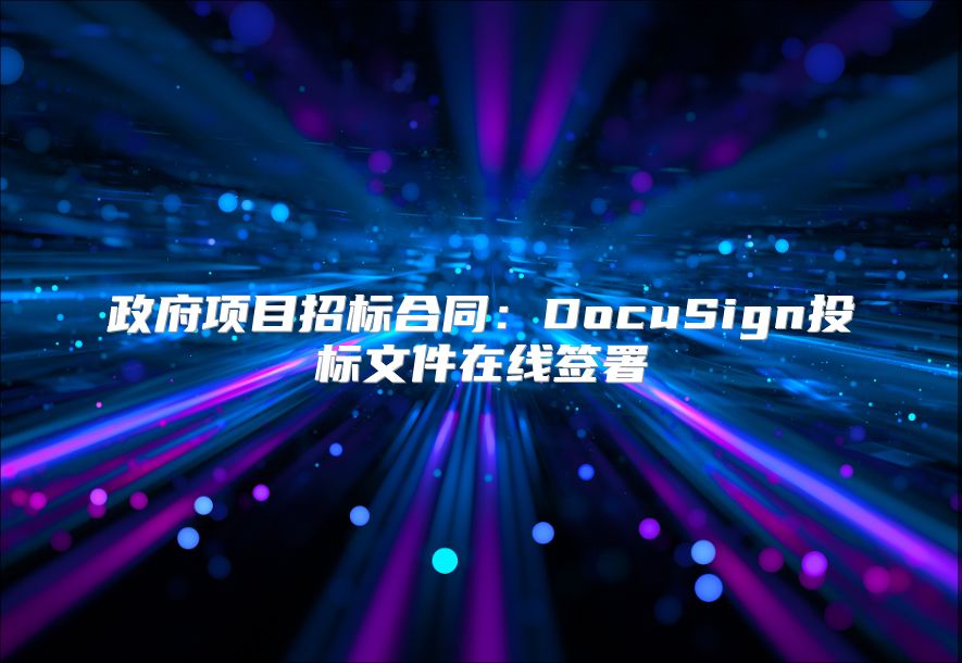 政府项目招标合同：DocuSign投标文件在线签署