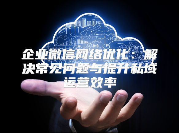 企业微信网络优化：解决常见问题与提升私域运营效率