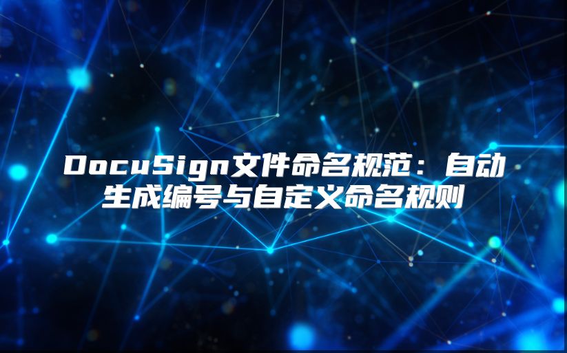 DocuSign文件命名规范：自动生成编号与自定义命名规则