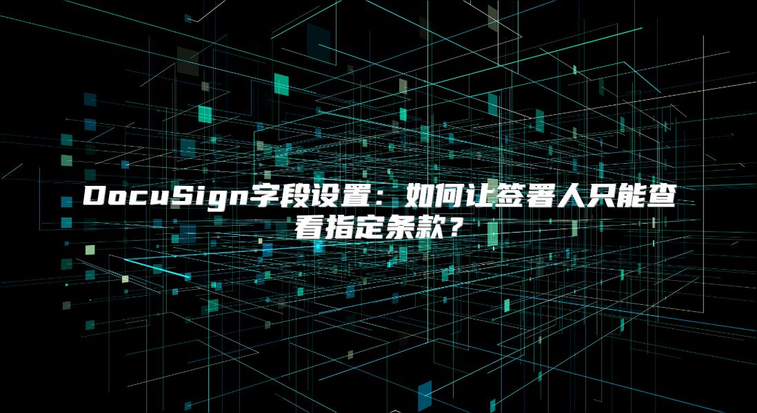 DocuSign字段设置：如何让签署人只能查看指定条款？