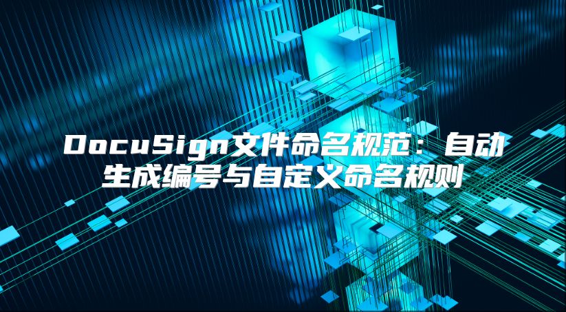 DocuSign文件命名规范：自动生成编号与自定义命名规则