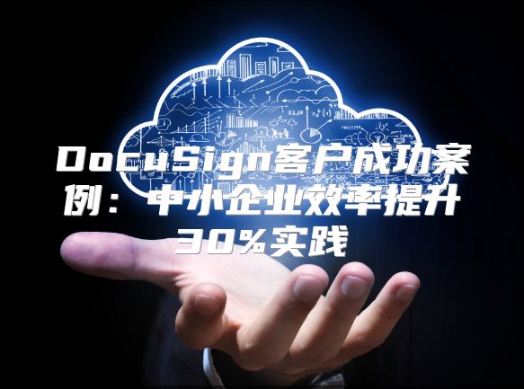 DocuSign客户成功案例：中小企业效率提升30%实践