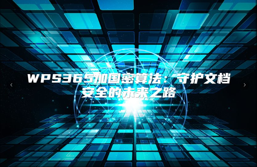 WPS365加国密算法：守护文档安全的未来之路