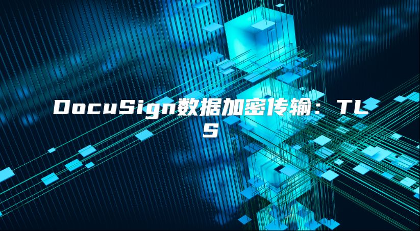 DocuSign数据加密传输：TLS